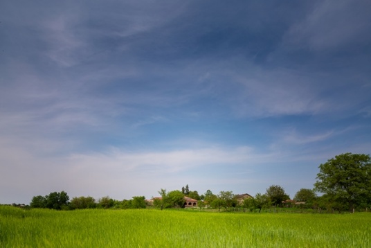 ENE+ENE ARHITECTURA ENE+ENE ARHITECTURA