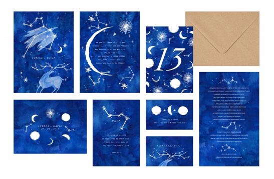 MĂDĂLINA ANDRONIC MĂDĂLINA ANDRONIC