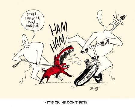 MATEI BRANEA MATEI BRANEA