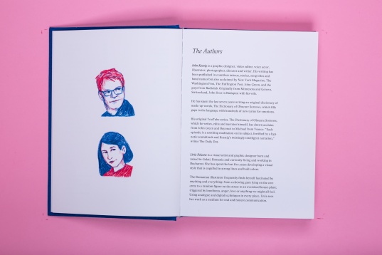 LIVIA FĂLCARU LIVIA FĂLCARU