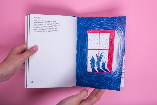 LIVIA FĂLCARU LIVIA FĂLCARU