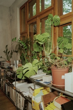 Cum schimbă arhitecții viziunea Bucureștiului: Republic of Architects Cum schimbă arhitecții viziunea Bucureștiului: Republic of Architects