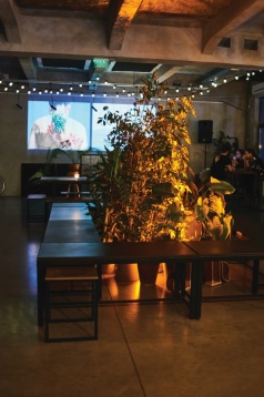 O călătorie în spațiu și timp în Universul O călătorie în spațiu și timp în Universul