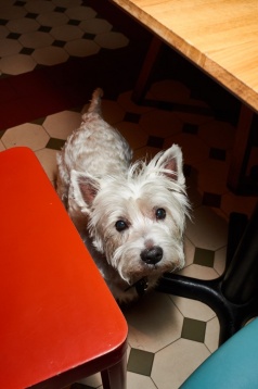 Un profil de business, vă rog: Energiea Un profil de business, vă rog: Energiea