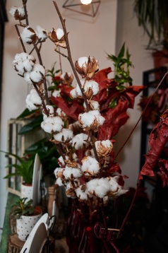 La pas prin cartier: Eva’s Flowers, locul unde este mereu primăvară La pas prin cartier: Eva’s Flowers, locul unde este mereu primăvară