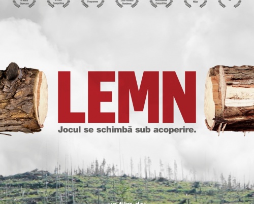 LEMN, filmul care vorbește despre tăierile ilegale de păduri și comerțul cu lemn, în premieră națională la TIFF 2020