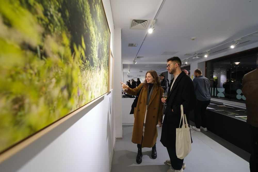 Gallery image
