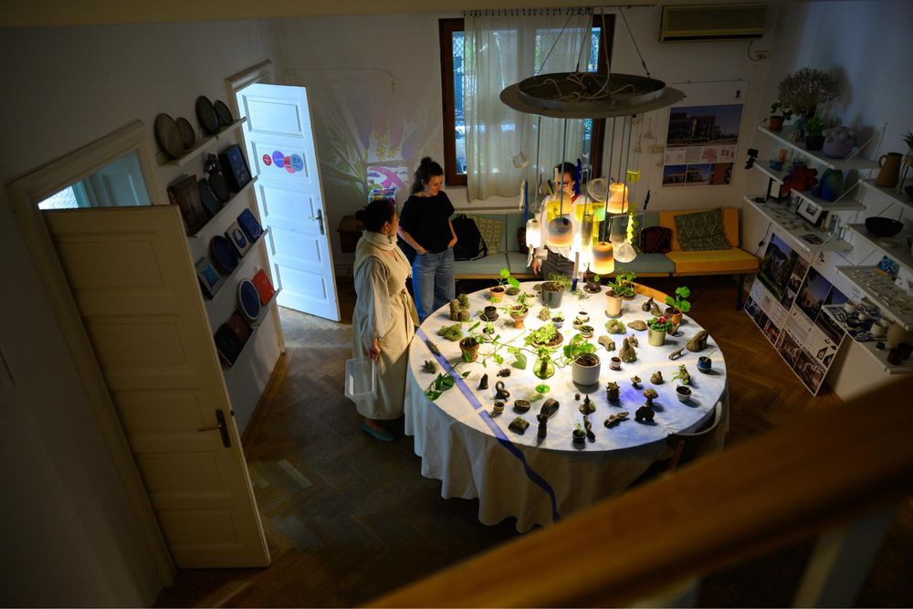 Gallery image