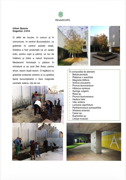 Ecosistemul Urban Spaces: natură & comunitate