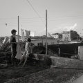 „Visuali Italiane - Noua Cinematografie Italiană în România” prezintă  „Clădirea LAF”/ „Palazzina LAF”
